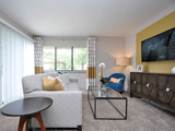Springbrook Flats Apartments